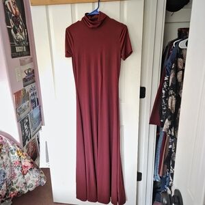 Long Turtleneck Dress